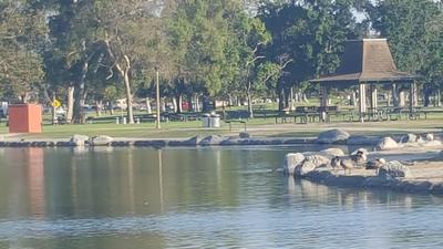 Fountain Valley city