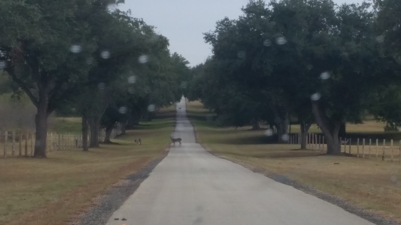 Travel Nursing in Pearsall, Texas NurseFly