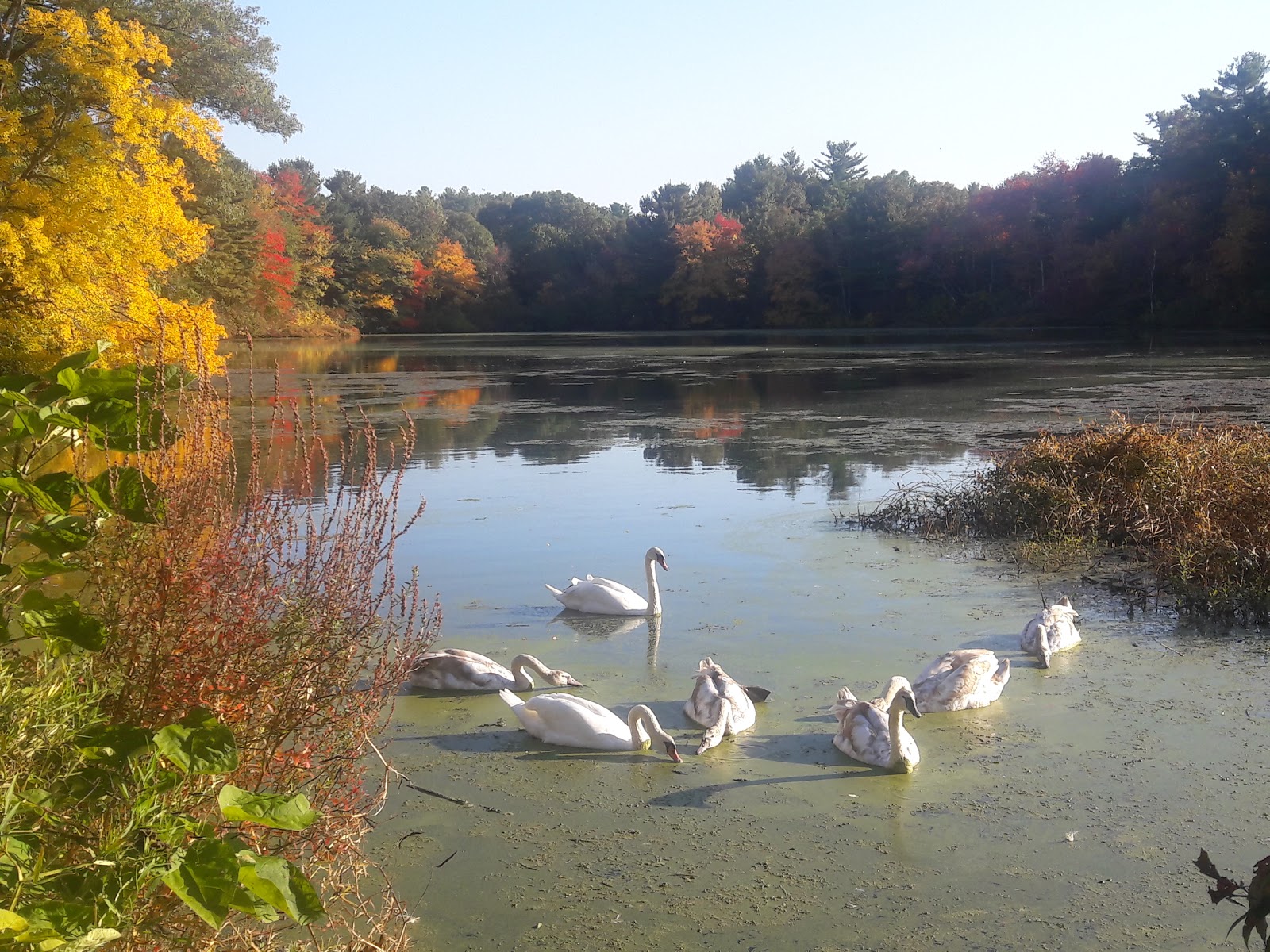 Travel Nursing in Pembroke, Massachusetts NurseFly