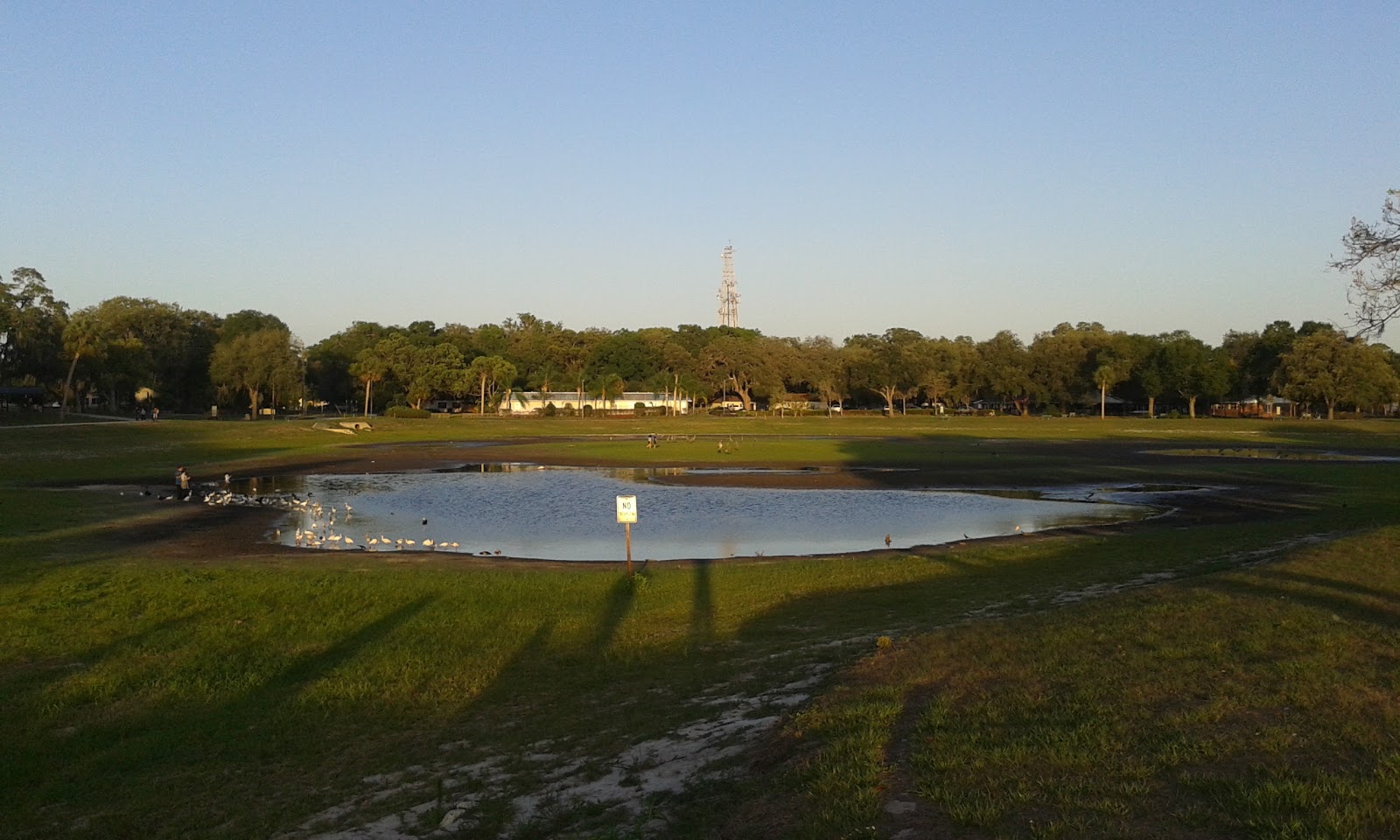 Travel Nursing in Zephyrhills, Florida NurseFly